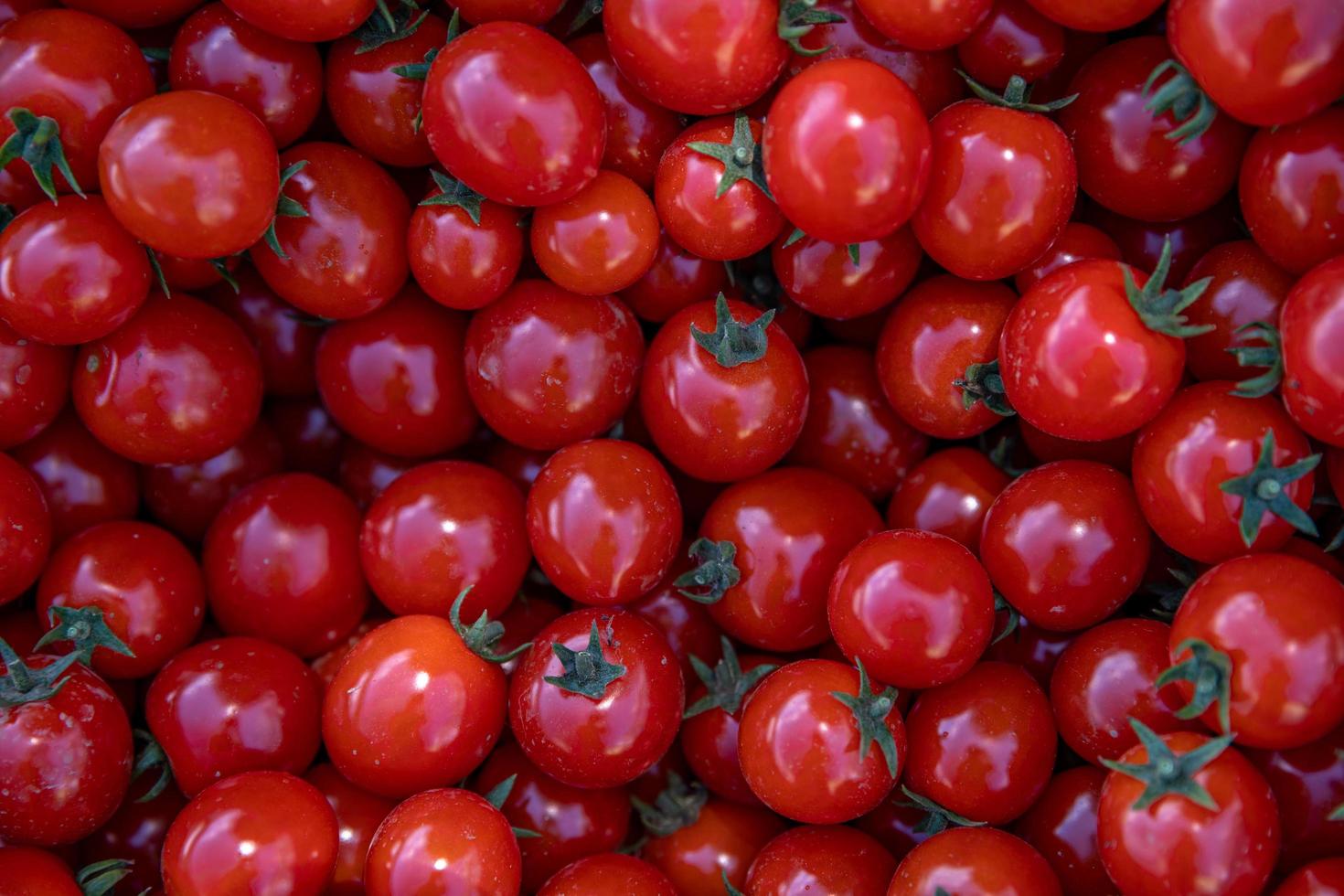 mazzo di pomodori rossi foto