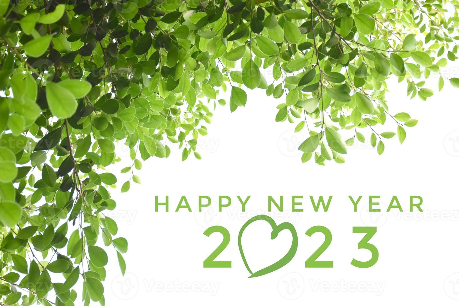 'felice nuovo anno 2023' nel verde colore con ficus rami e le foglie sfondo, concetto per saluto invito carta e contento nuovo anno 2023, contento vita. foto