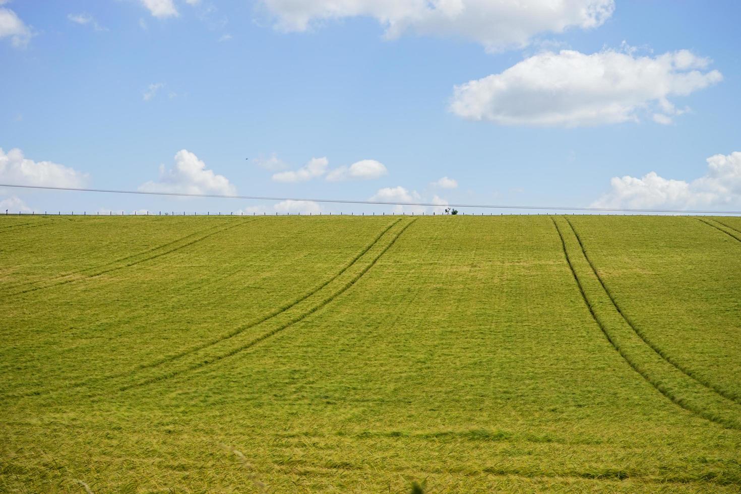 un campo in erba sotto il cielo foto