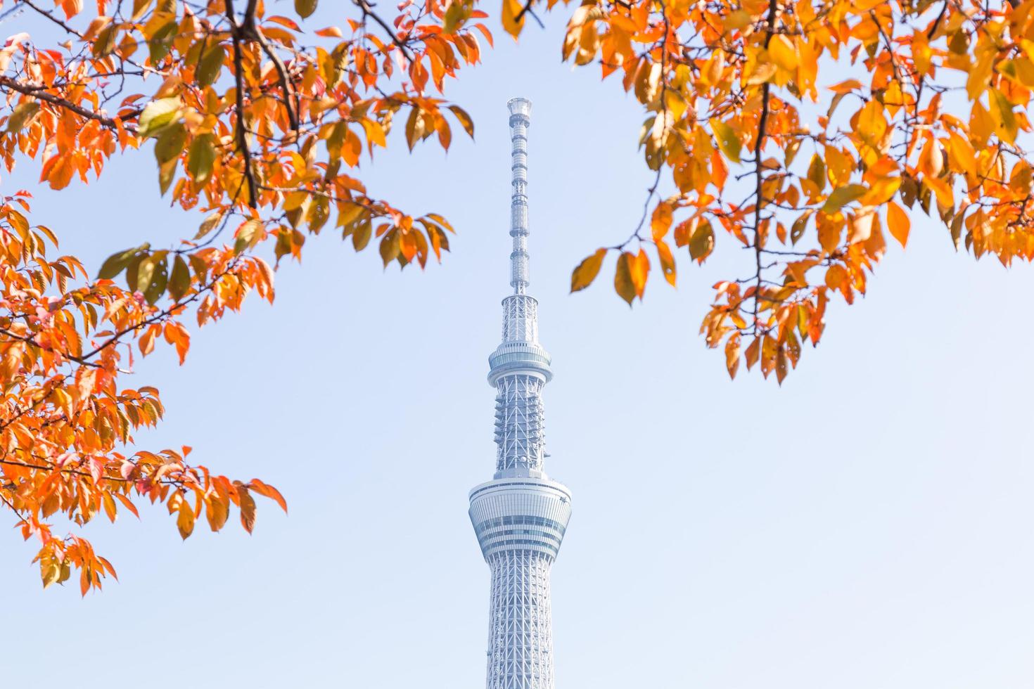 tokyo sky tree, tokyo, giappone - 14 novembre 2016 foto