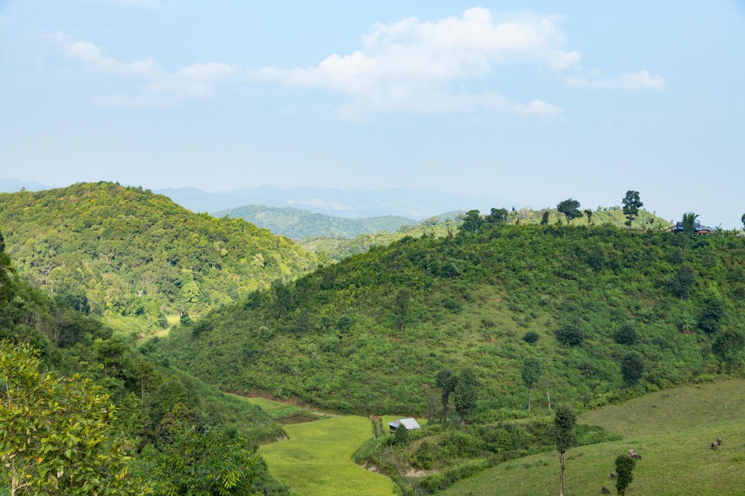 cielo, foresta e montagne foto