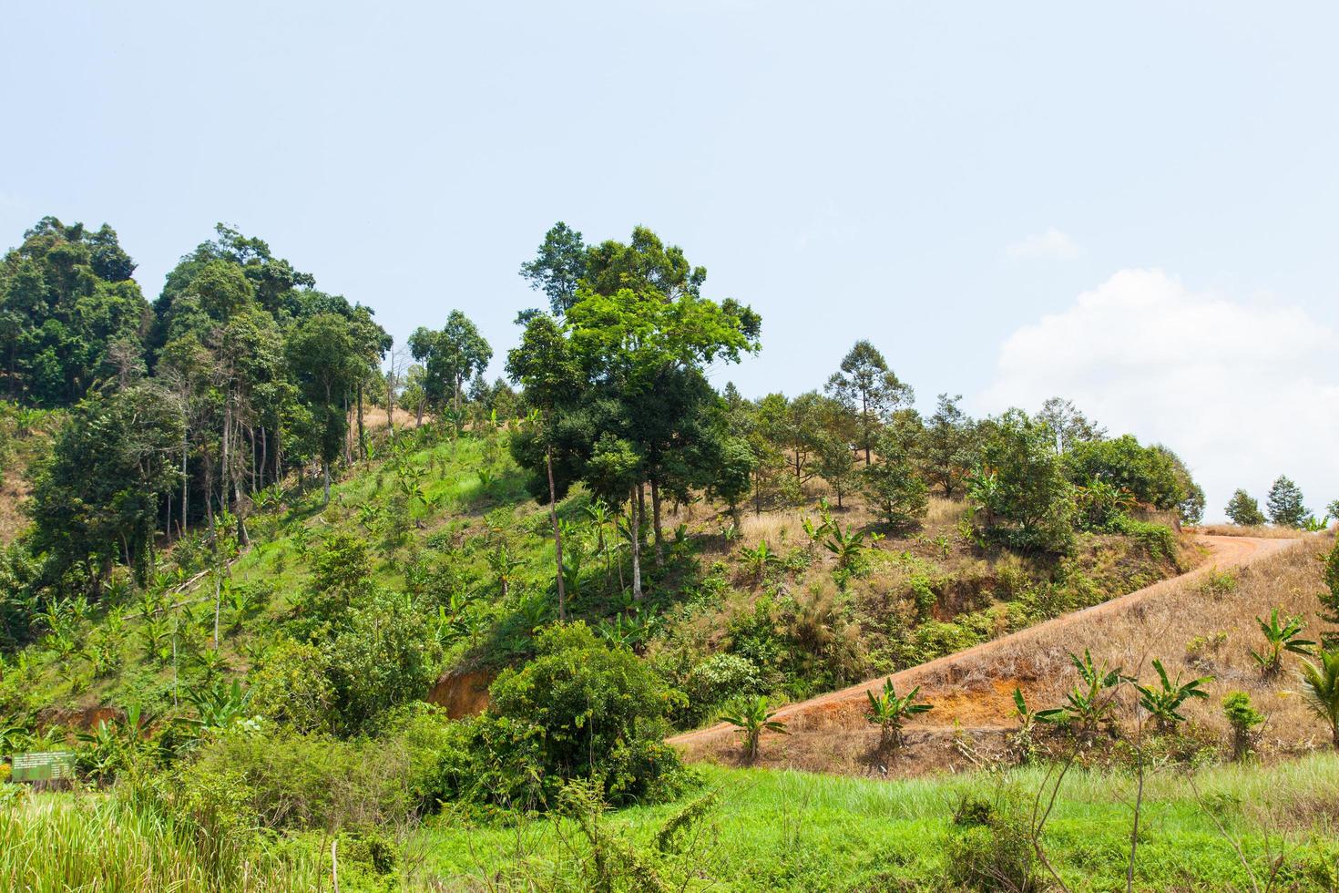 paesaggio in thailandia foto