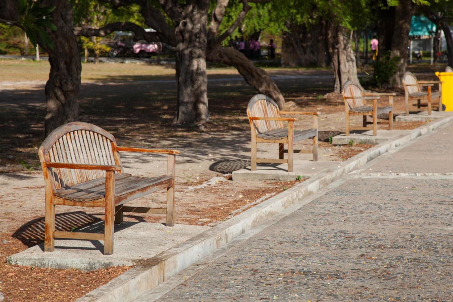 panchine nel parco foto