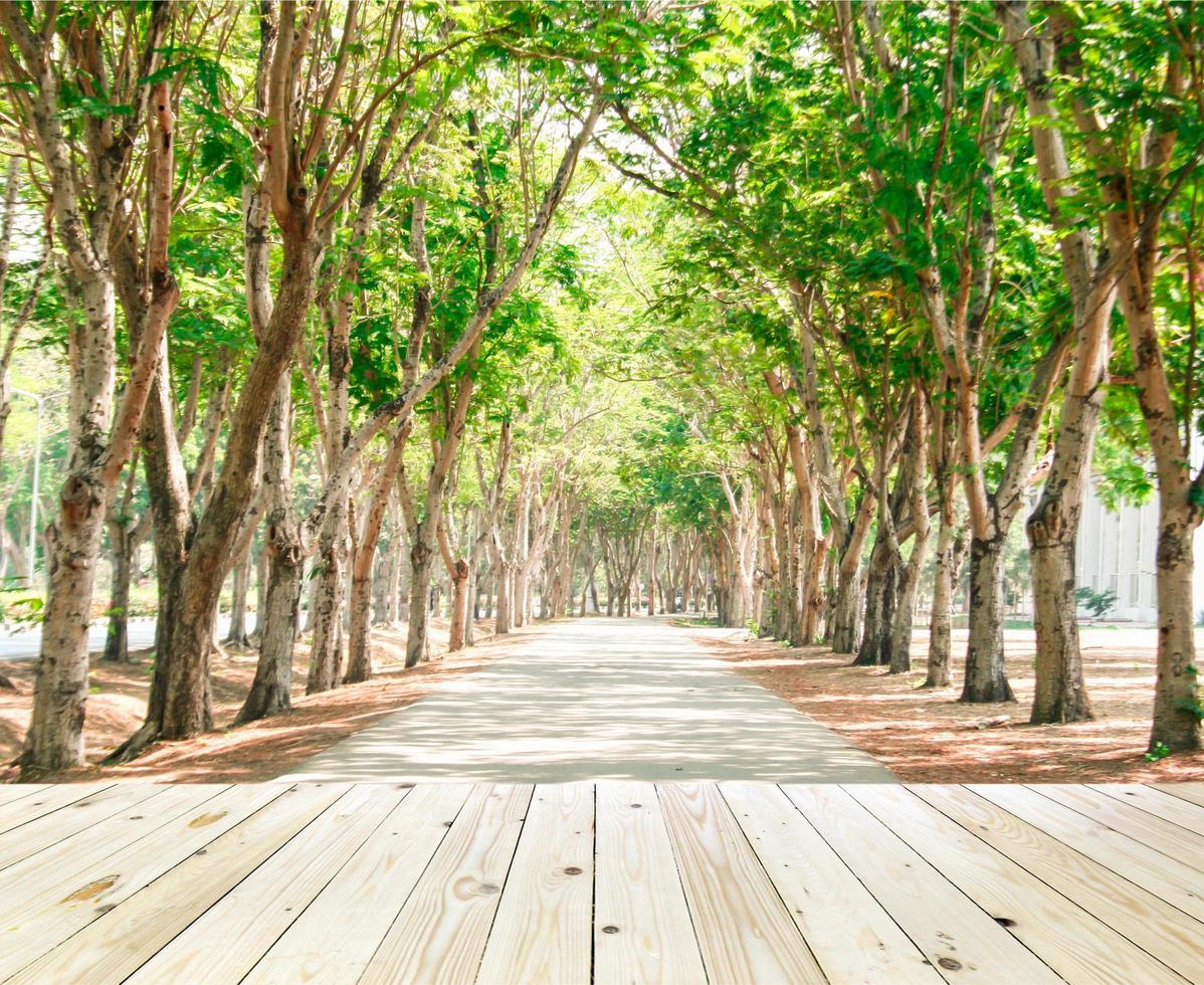 tunnel di alberi verdi foto