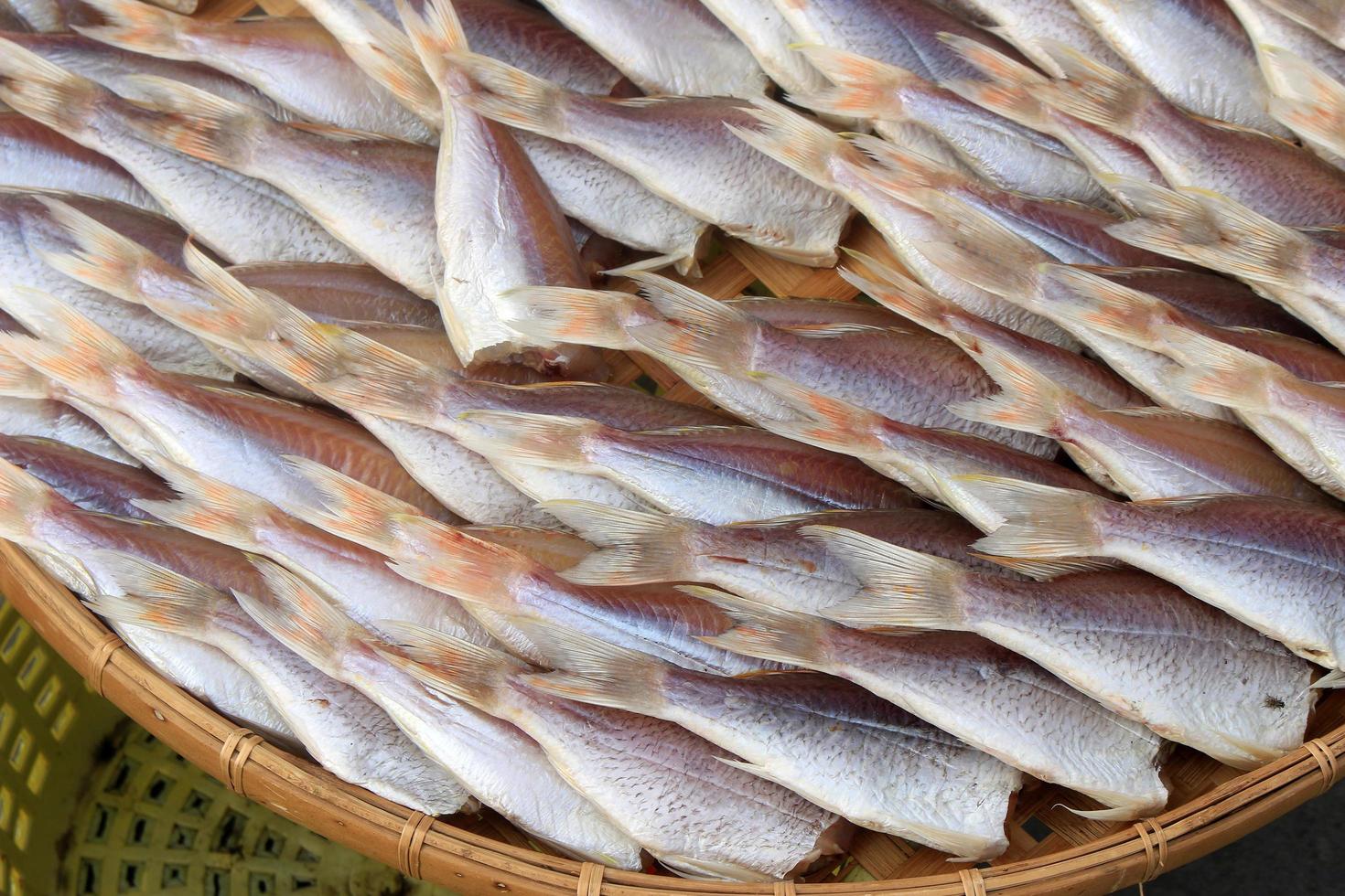 gruppo di pesce essiccato foto