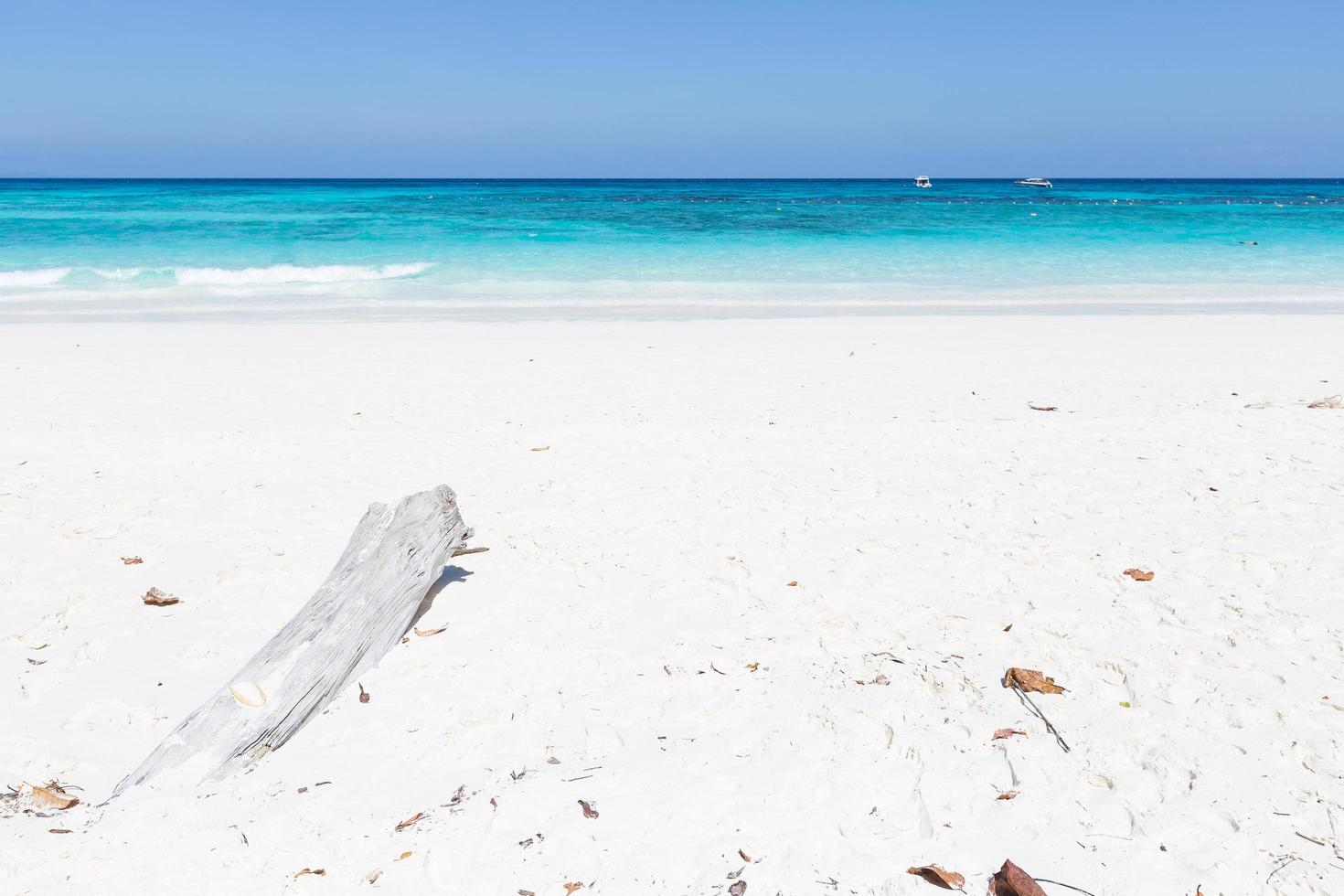 legname sulla spiaggia in thailandia foto