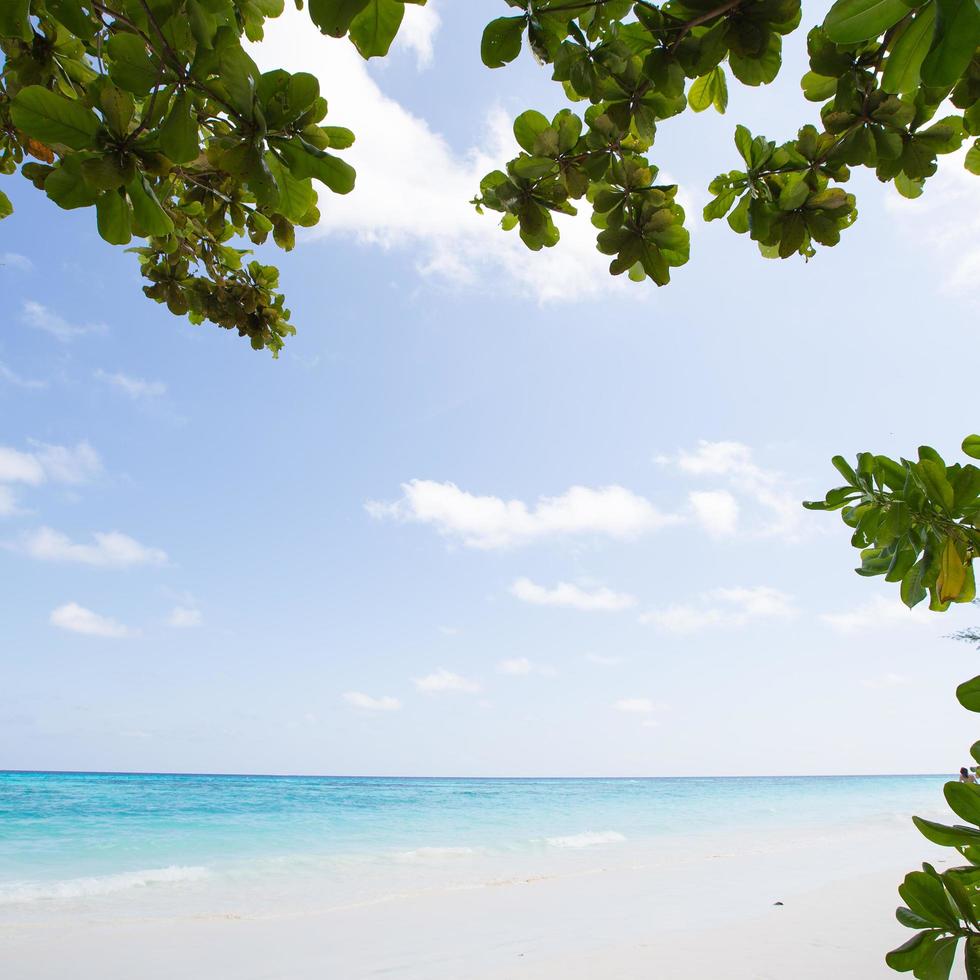 spiaggia in thailandia foto