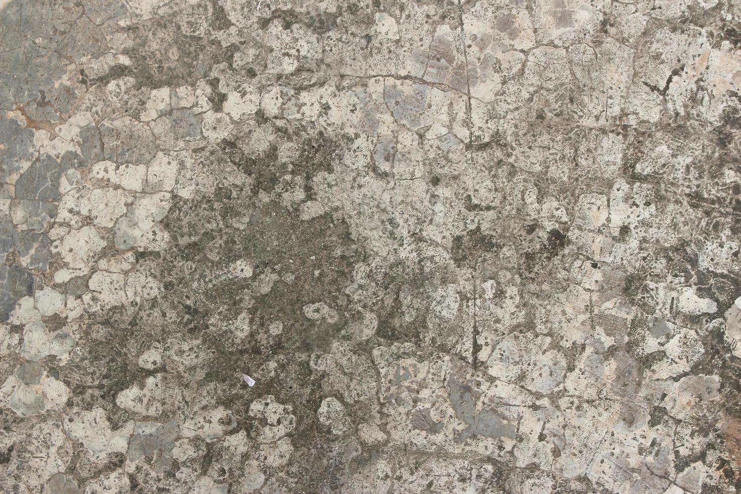 cemento grigio rustico foto