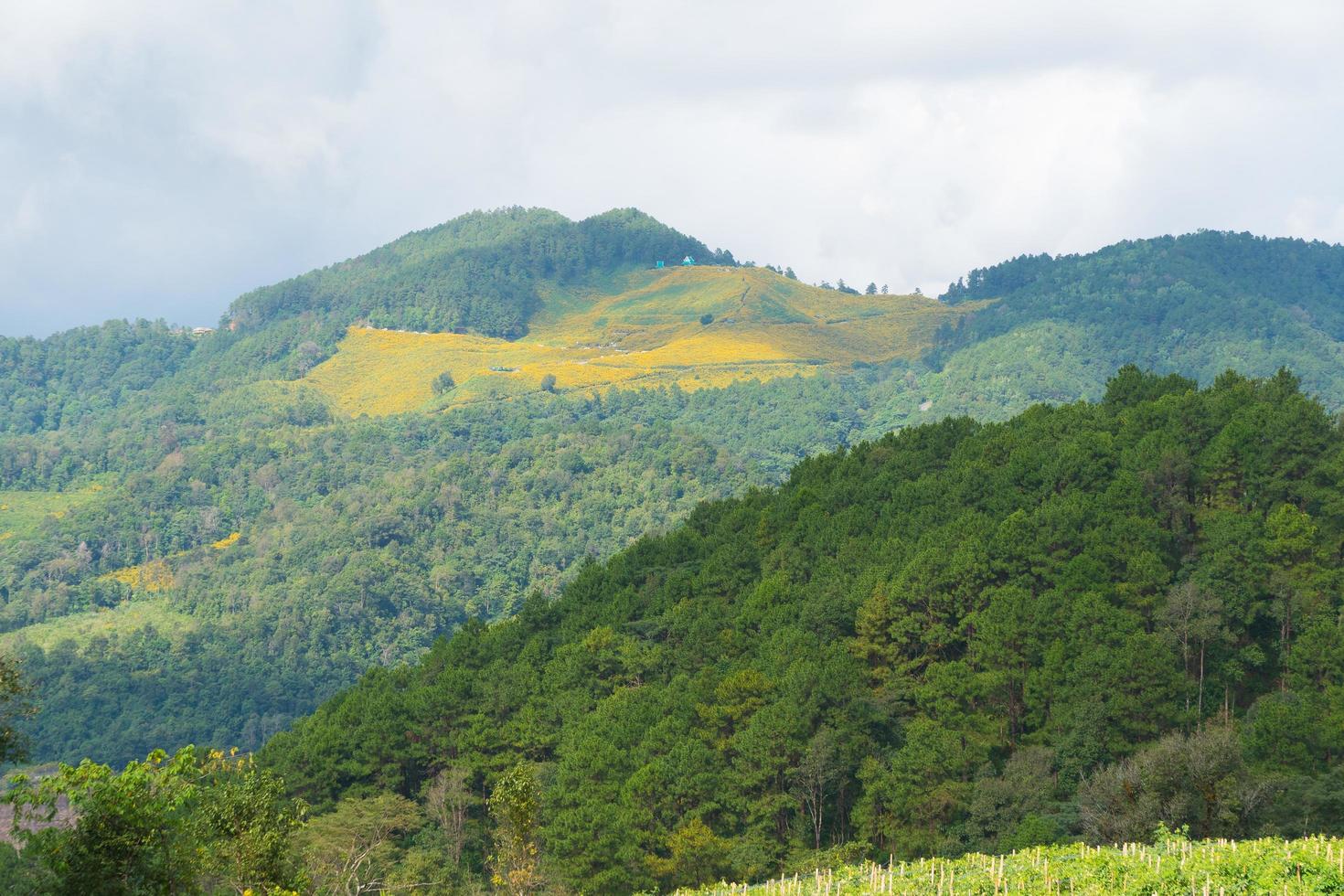 paesaggio di foreste e montagne in thailandia foto