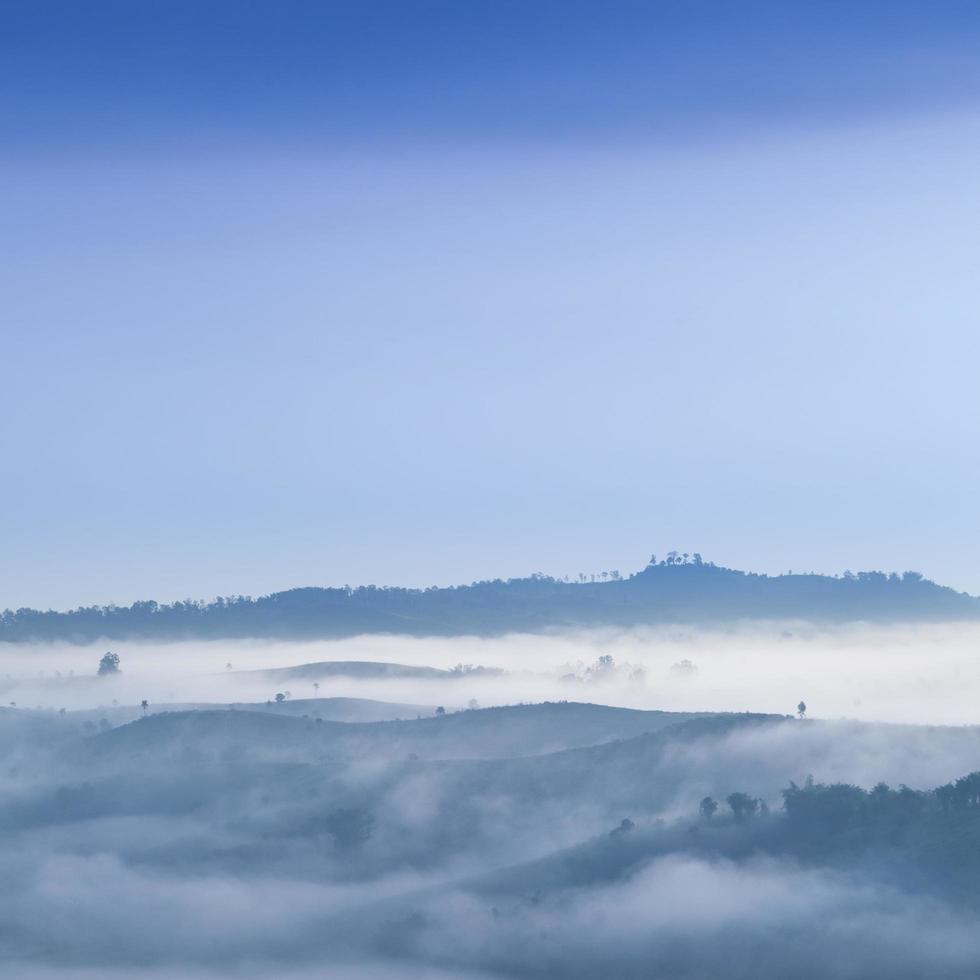 montagne e foreste coperte di nebbia foto