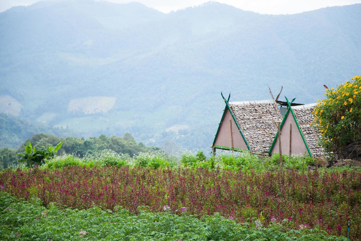 cottage in una fattoria in thailandia foto