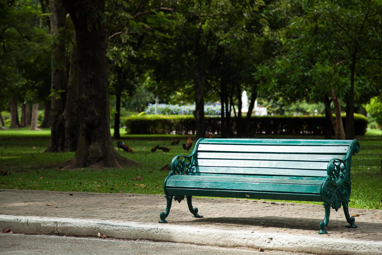 panchina nel parco foto