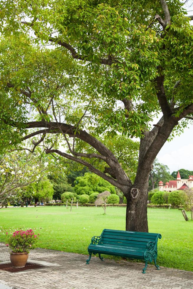 panchina sotto un albero foto