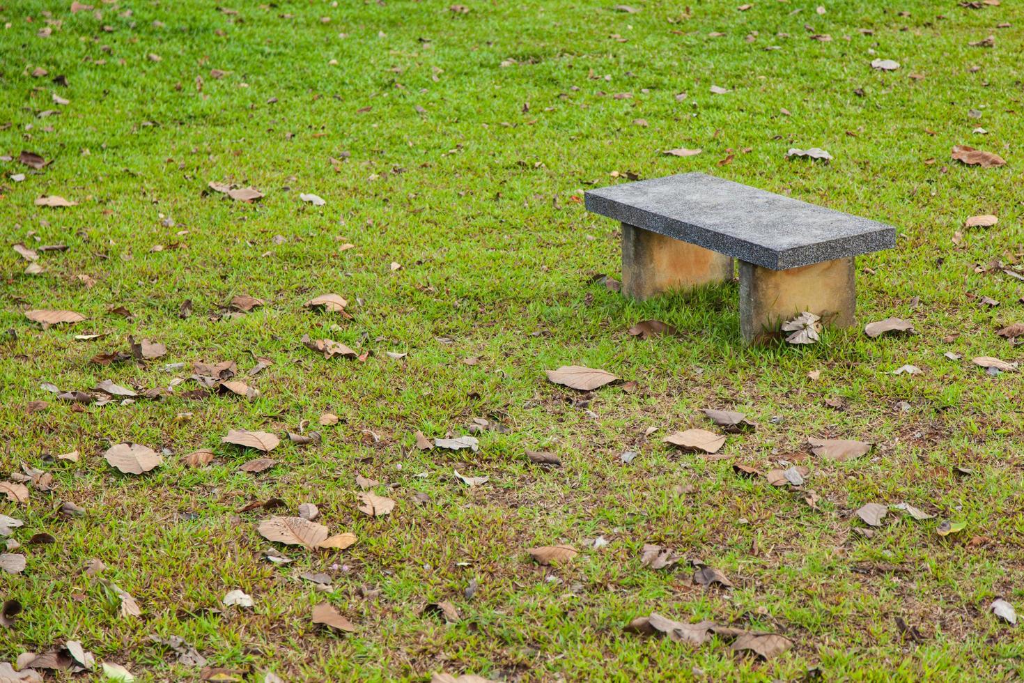 panchina in pietra sul prato foto