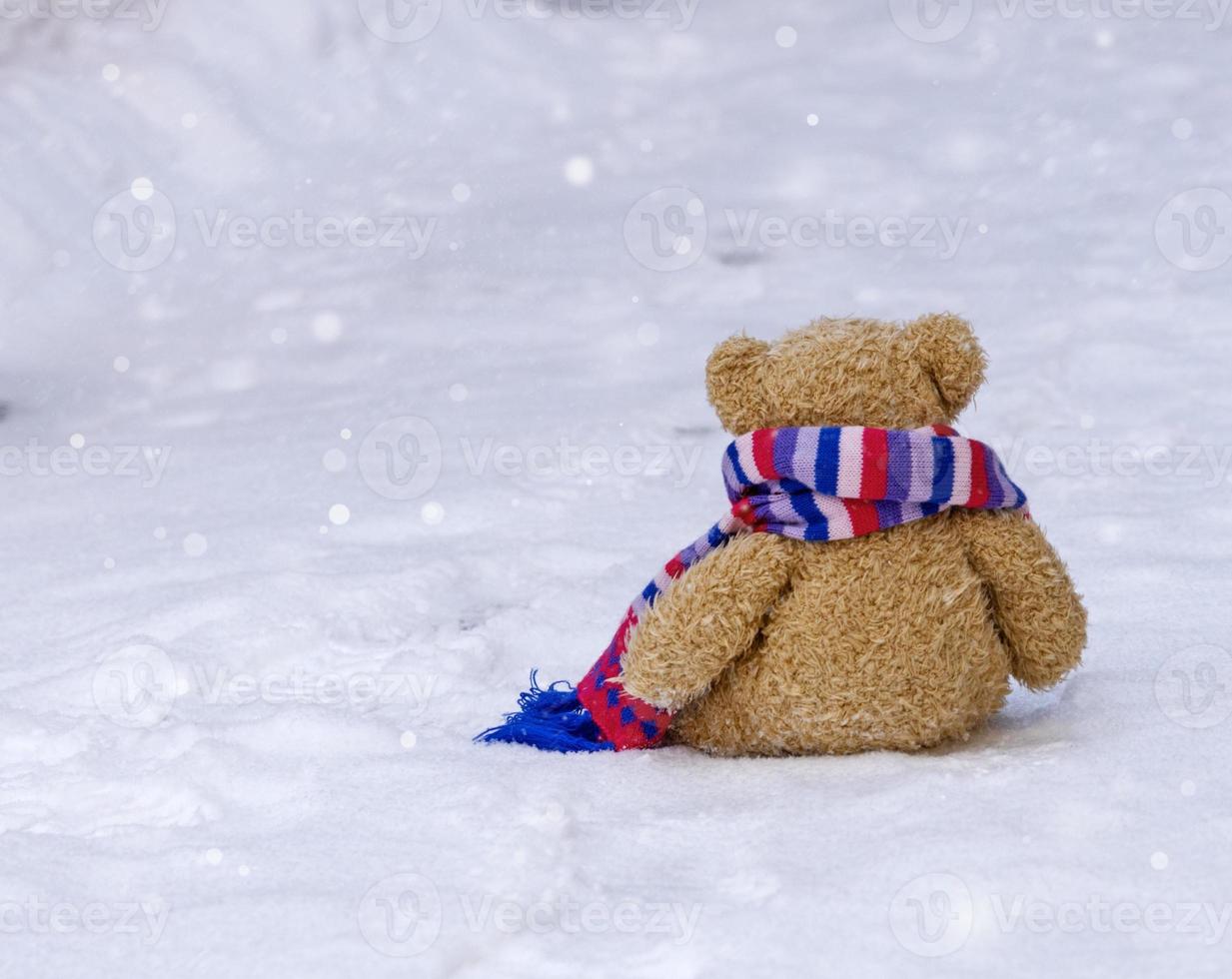 Marrone orsacchiotto orso nel un' luminosa sciarpa si siede nel il mezzo di bianca neve foto