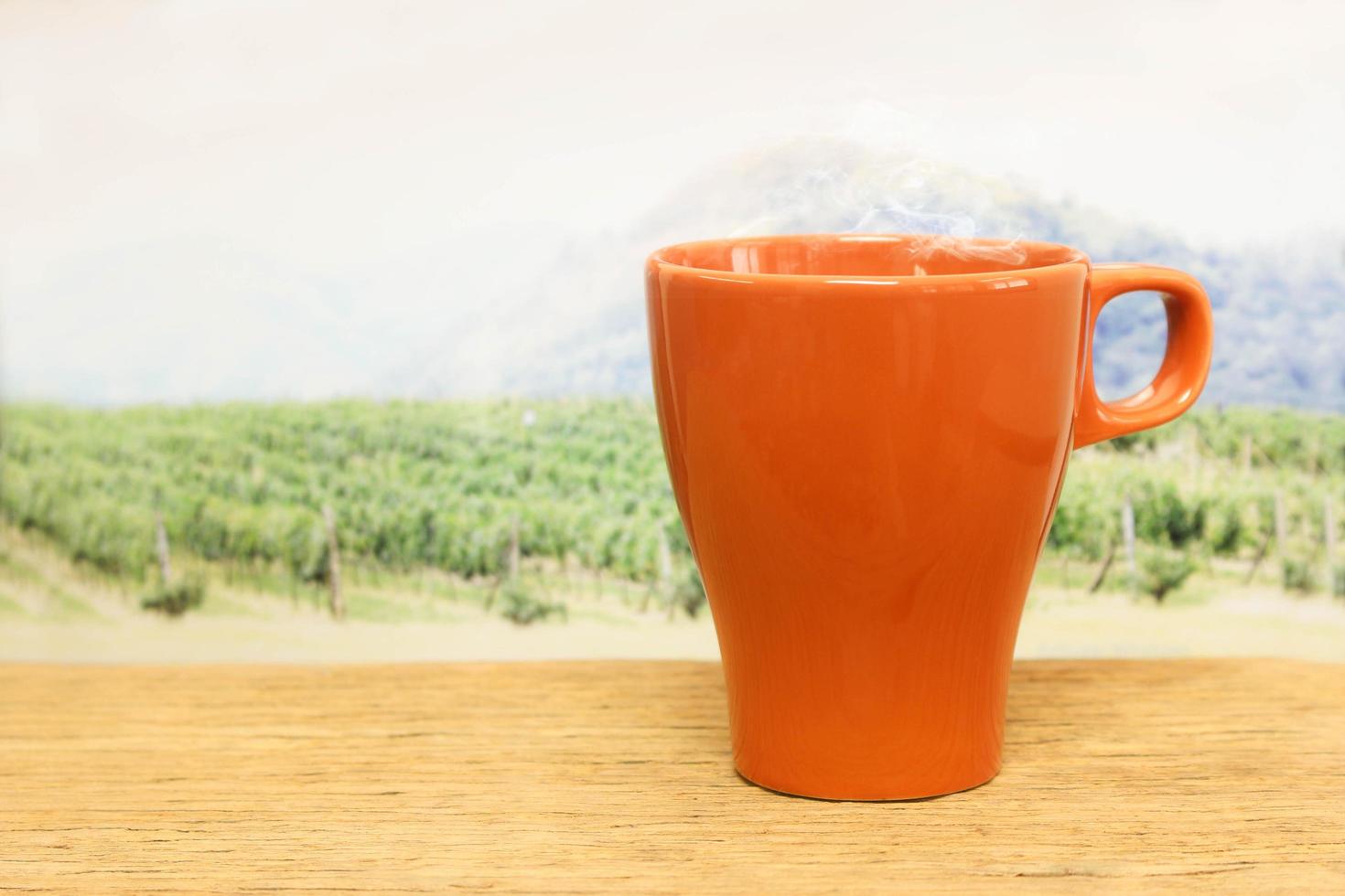 tazza arancione davanti a un campo foto