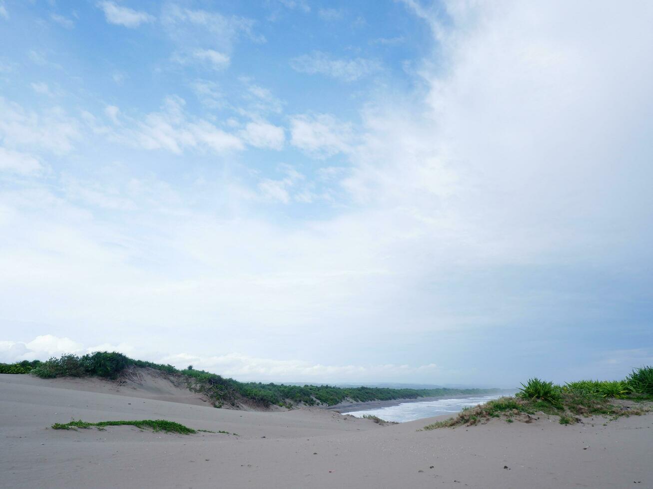 turchese acqua, bianca onde, blu cielo, verde erba, bianca sabbia, bellissimo spiaggia, e bellissimo isola, sayang heulang garut, panoramico Visualizza foto