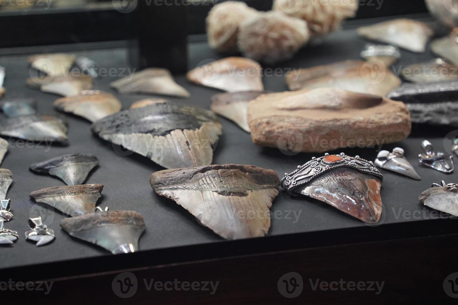 squalo denti pendente nel gioielleria memorizzare foto