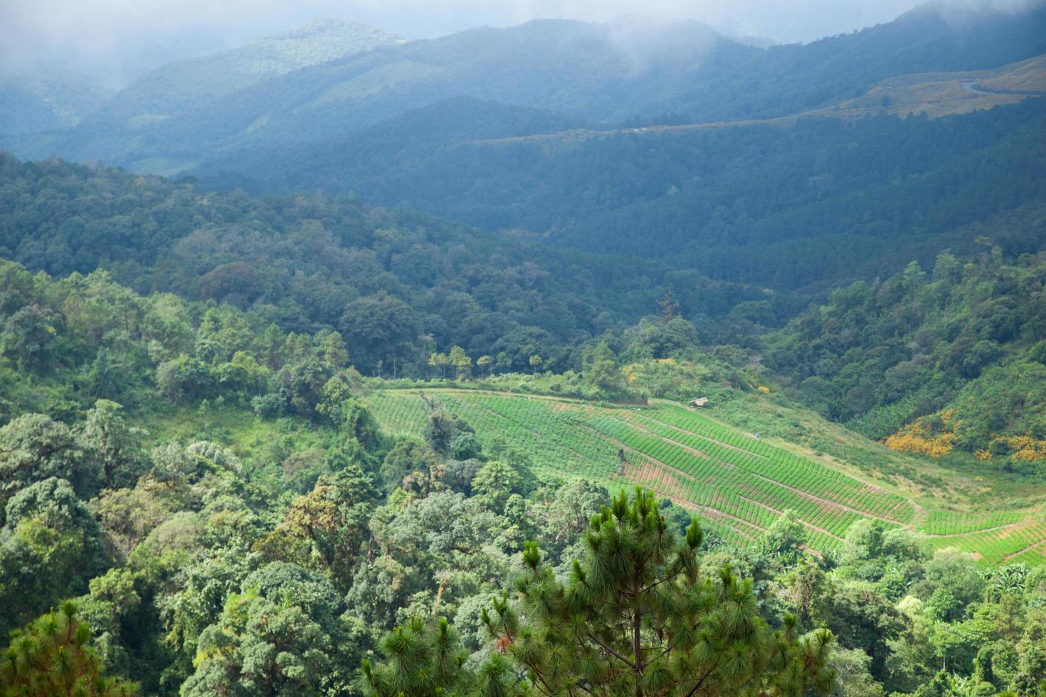 zona agricola in montagna foto