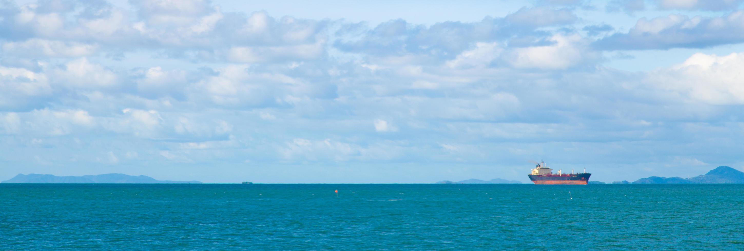 grande nave da carico sul mare foto