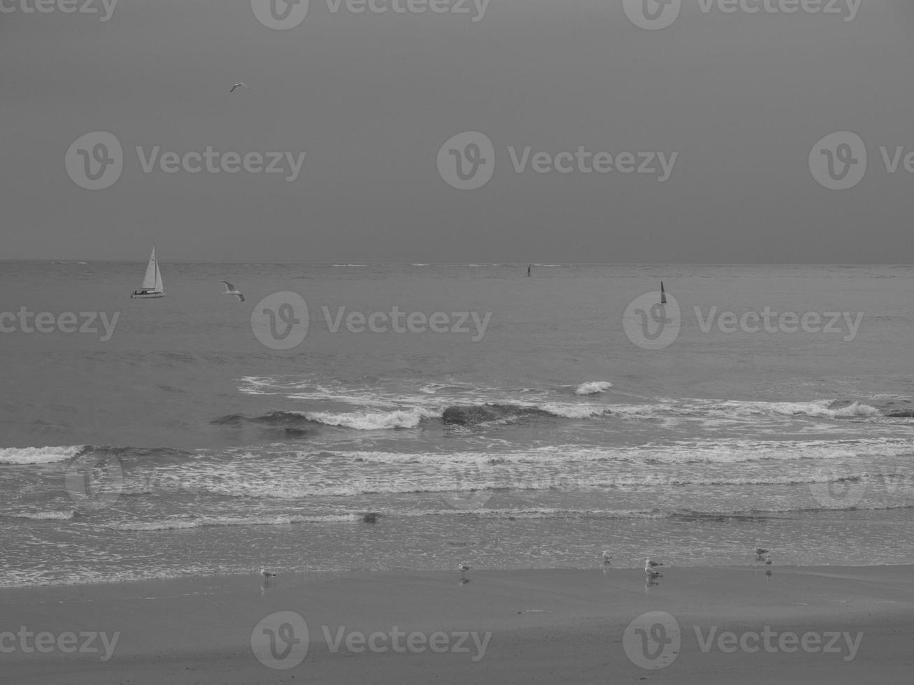 norderney isola nel il nord mare foto