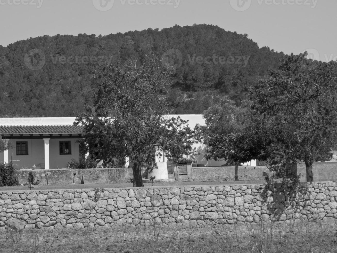 isola di ibiza in spagna foto