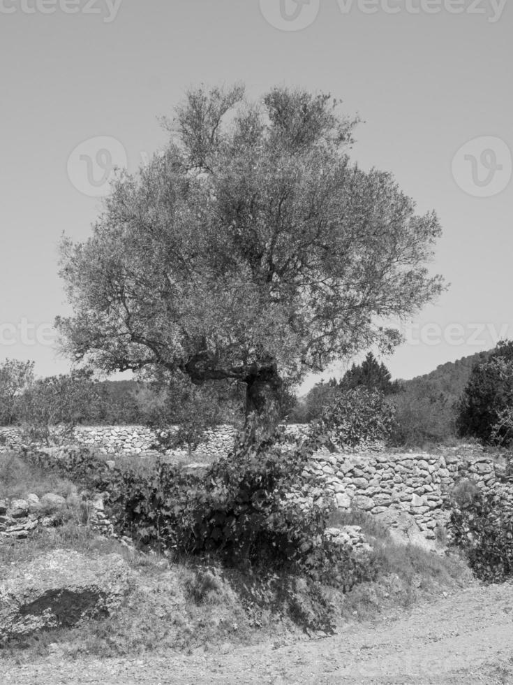 isola di ibiza in spagna foto