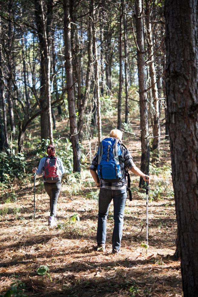 ritratto di escursionismo coppia backpacking in una pineta foto