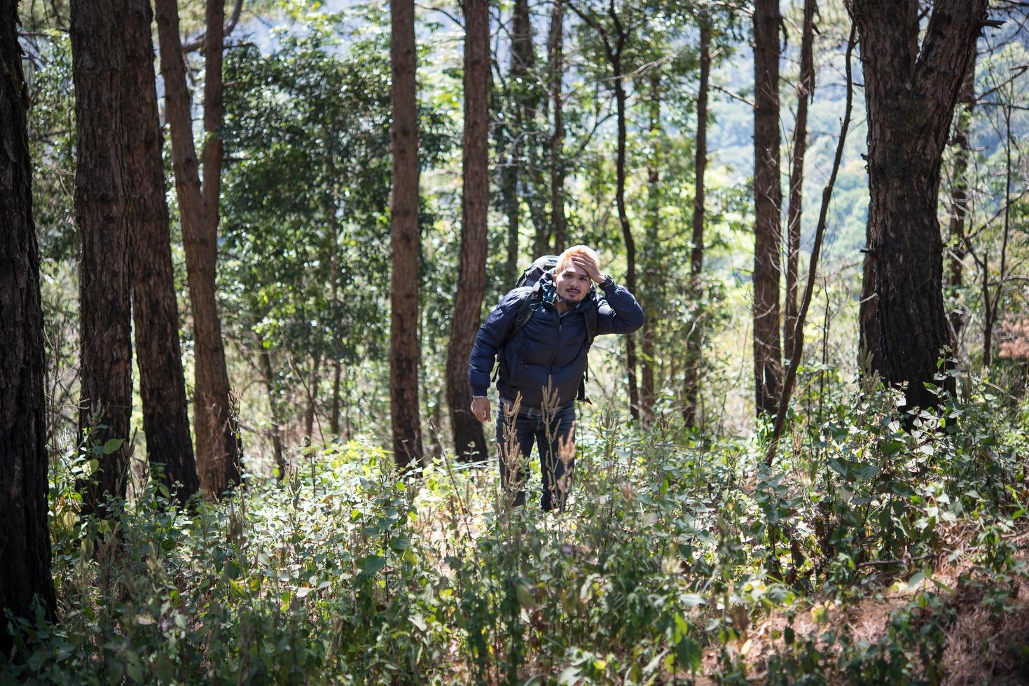 giovane che viaggia con uno zaino in natura foto