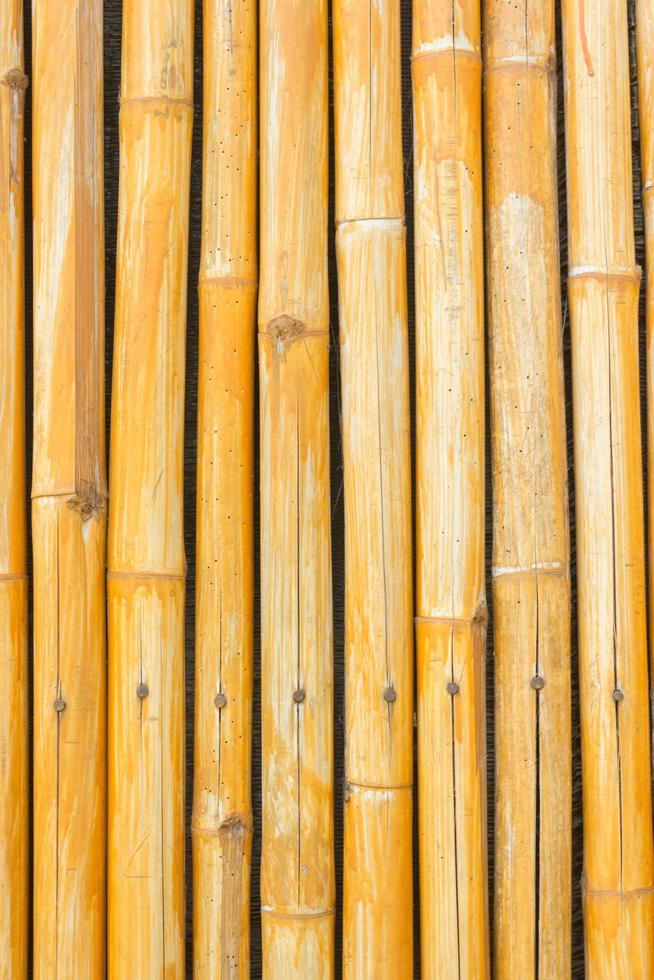 recinto di bambù giallo per lo sfondo foto