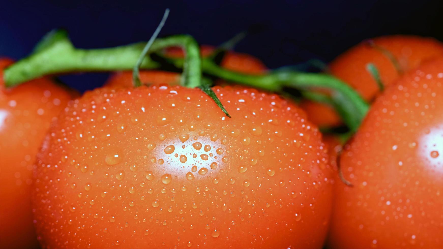 degno di nota cibo e bevande foto