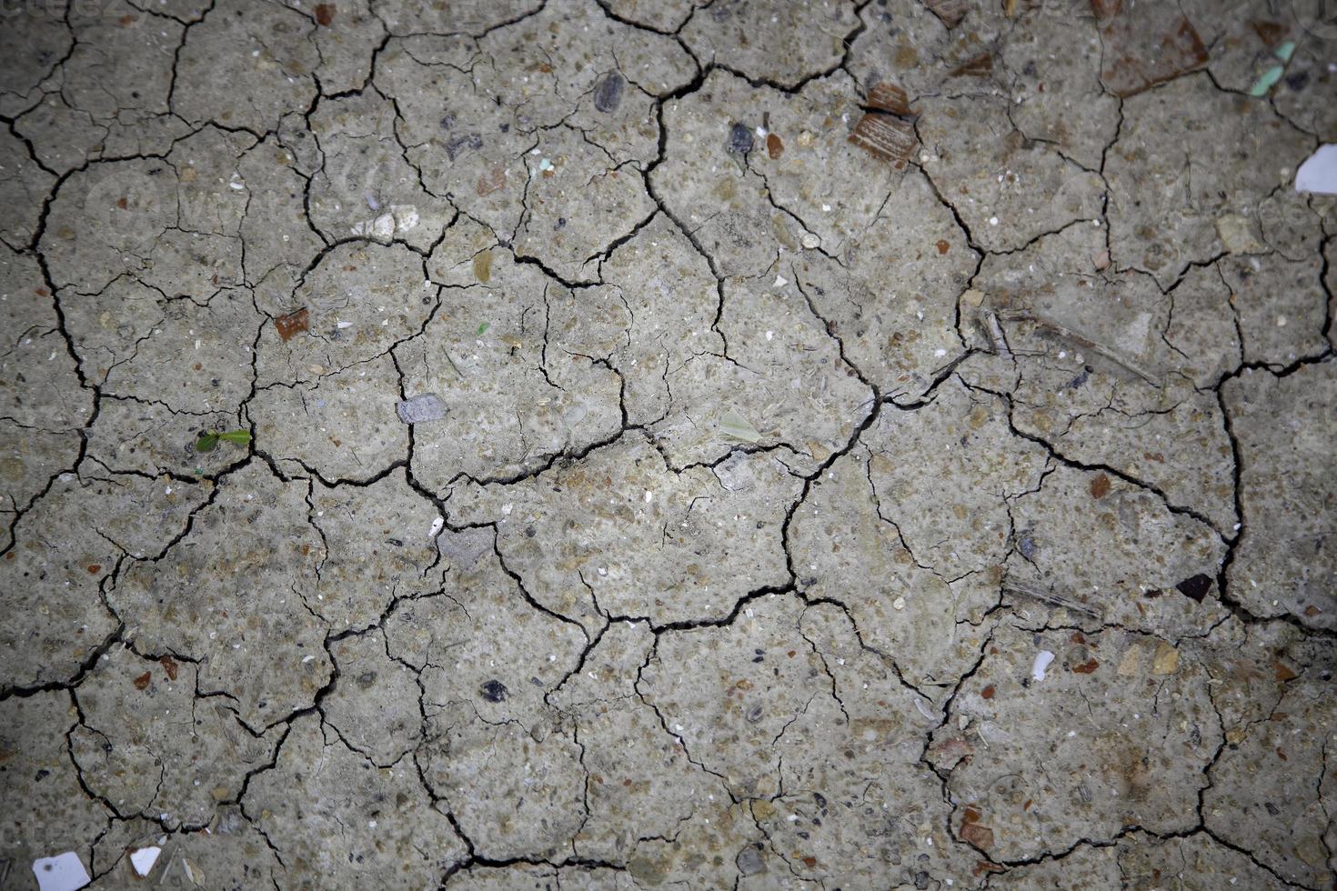 terreno asciutto a causa della siccità foto