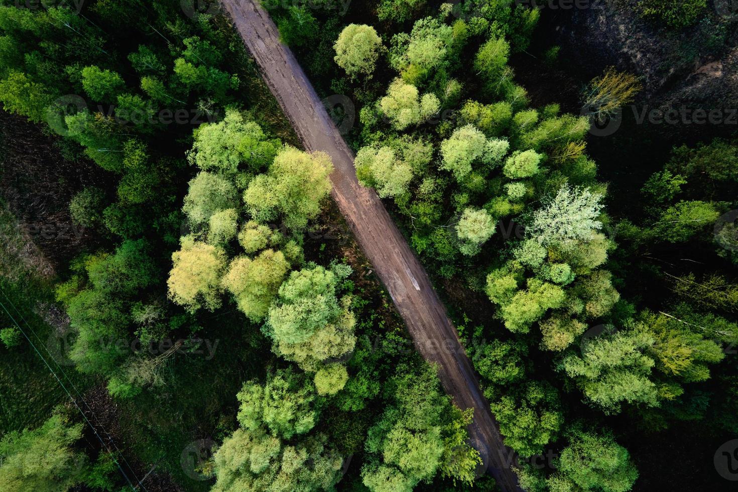 strada attraverso il foresta, aereo Visualizza foto