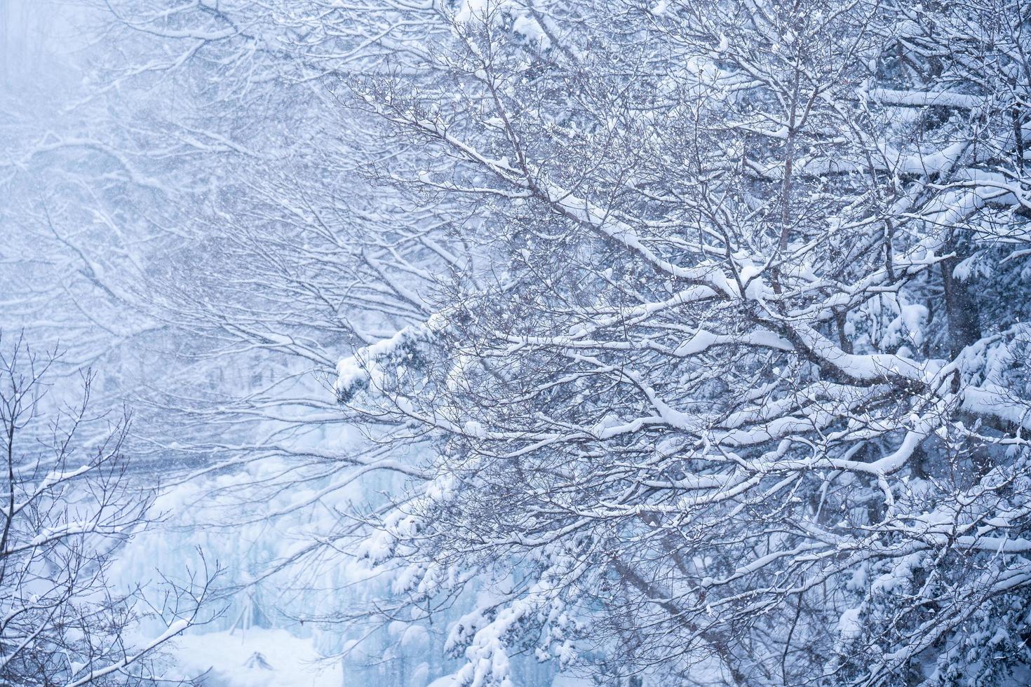 pesante neve a il fiume nel heike no sato villaggio nel tochigi prefettura, nikko città, Giappone foto