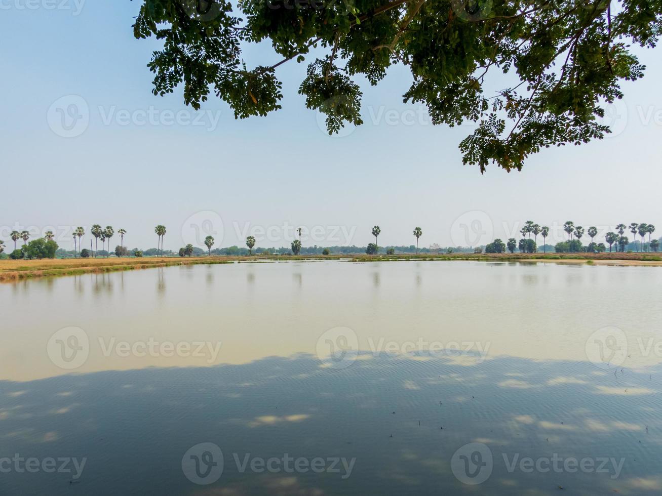 bellissimo panoramico Visualizza di lago nel natura foto