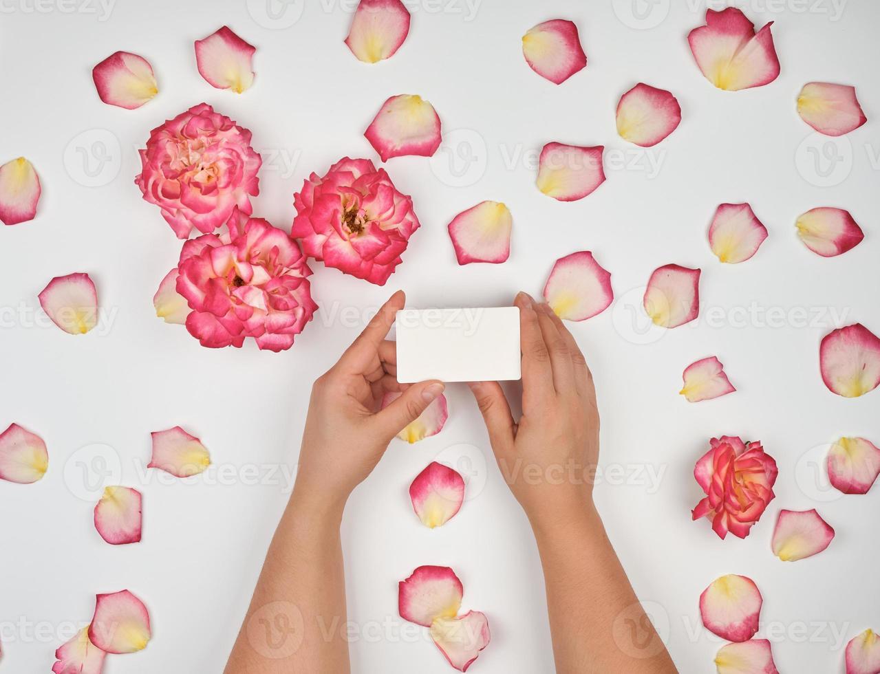 femmina mani Tenere vuoto bianca carta carte e rosa rosa petali foto