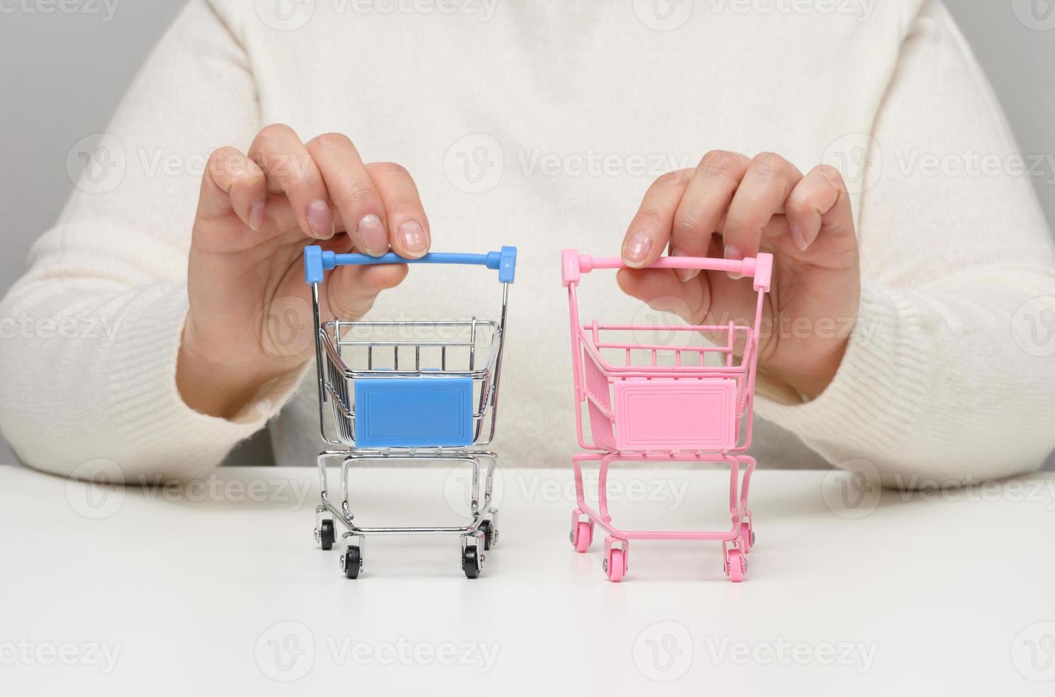 femmina mani hold Due vuoto miniatura shopping carrelli su il tavolo. vendita concetto. predefinito, autunno nel acquisto potenza, apprezzamento di merce foto