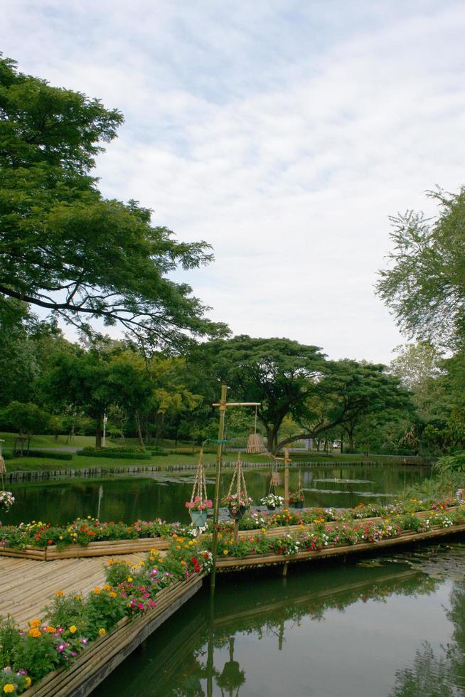 ponte di bambù in giardino foto