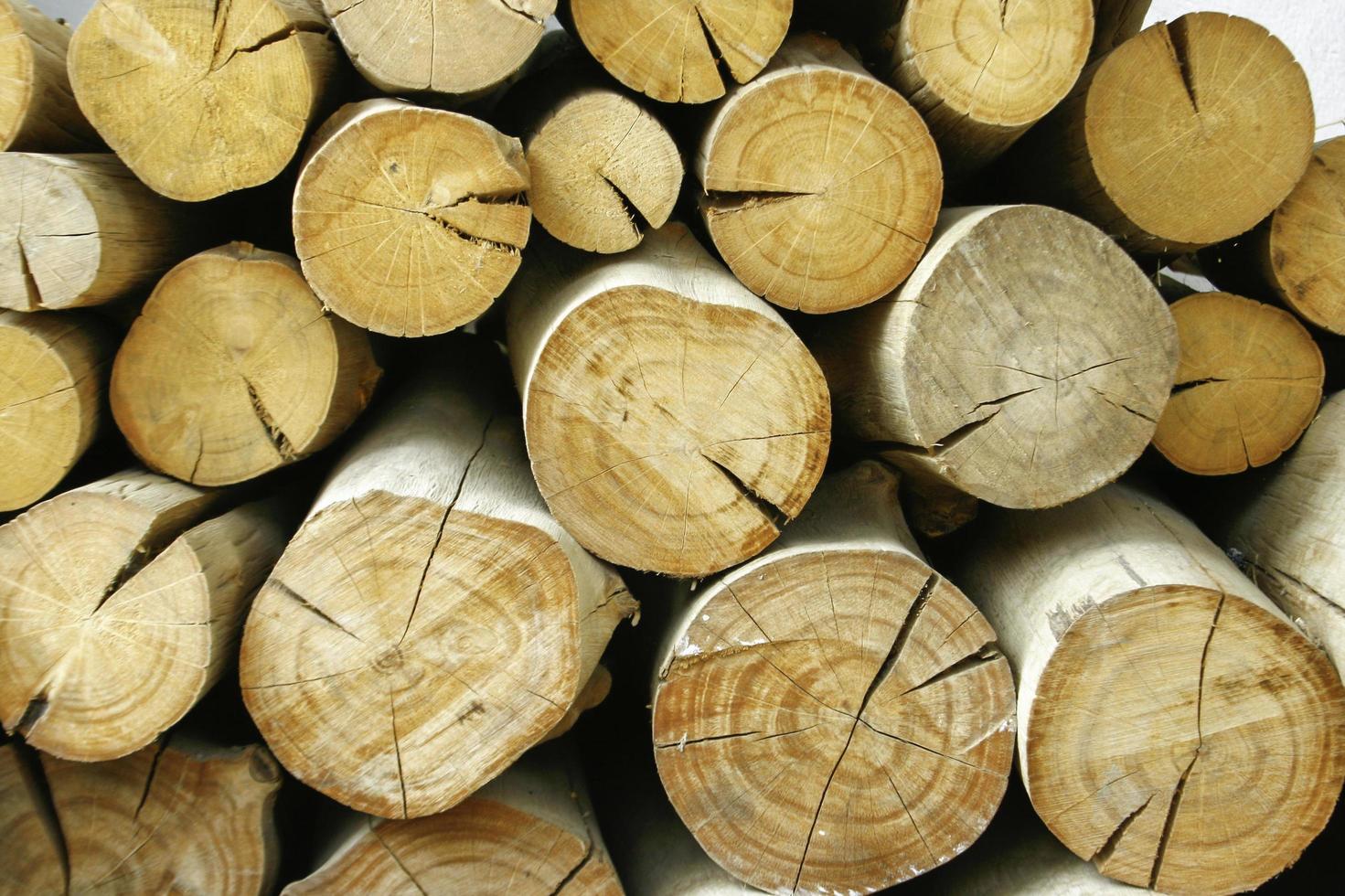 mucchio di ceppo di legno foto