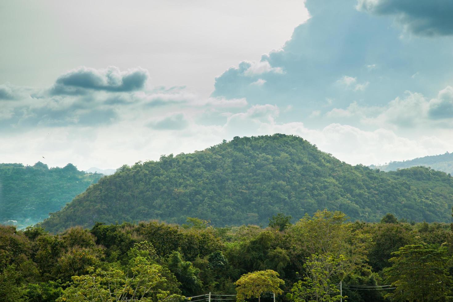 foresta, montagne e cielo foto