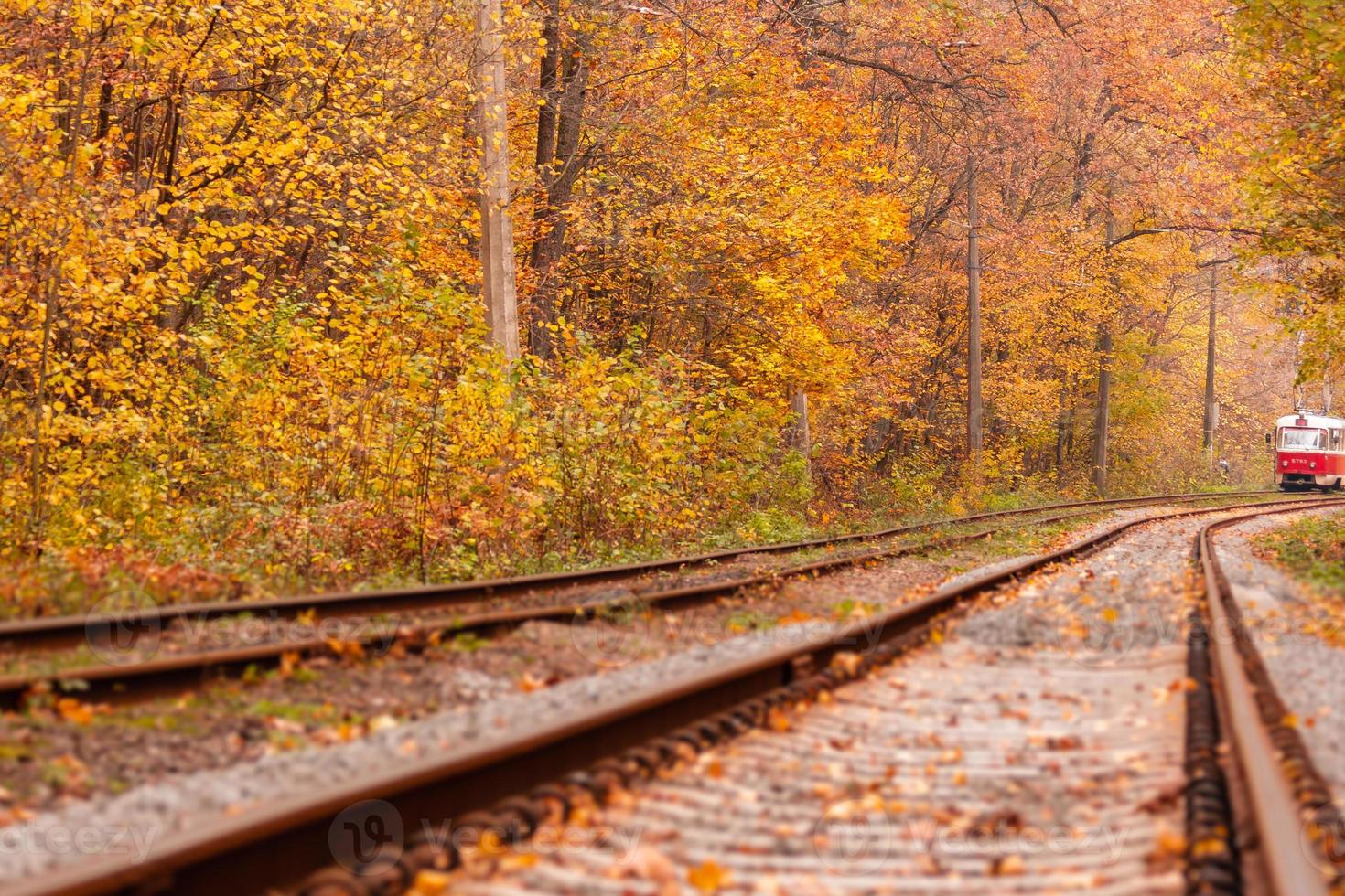 autunno foresta tra quale va un' strano tram foto