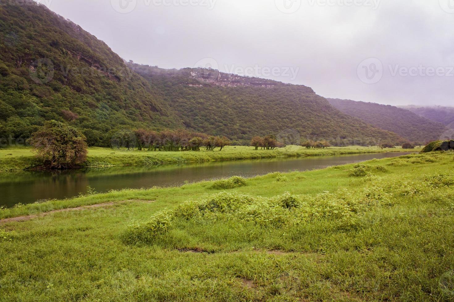 wadi darbat nel salala, Oman foto