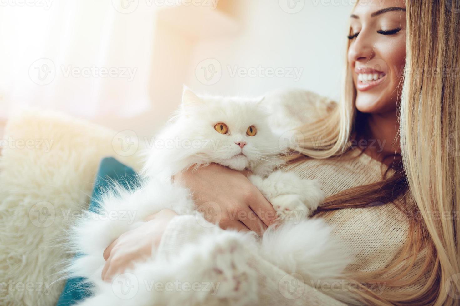 carino gatto e ragazza foto