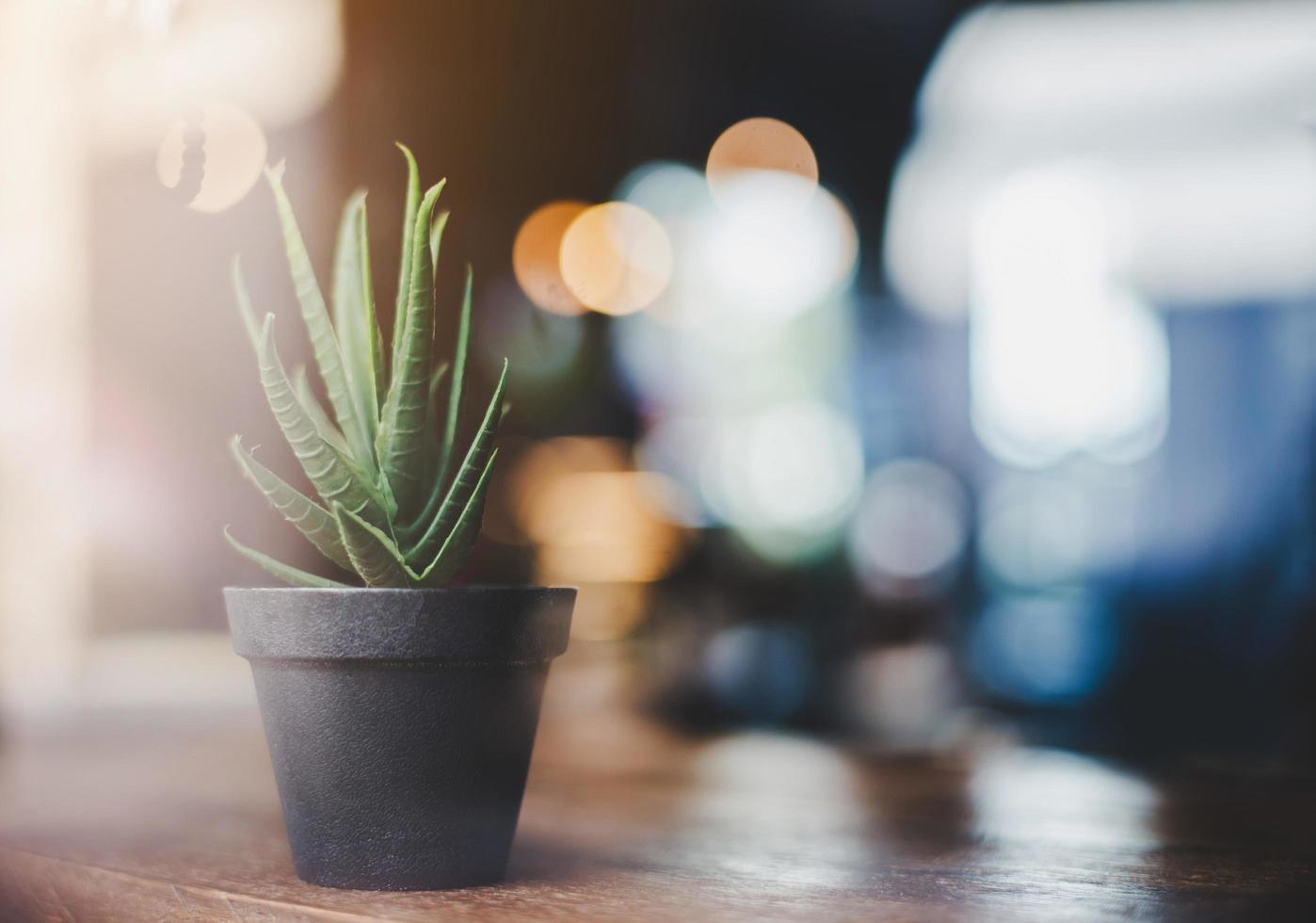 caffè umore cactus sul tavolo foto