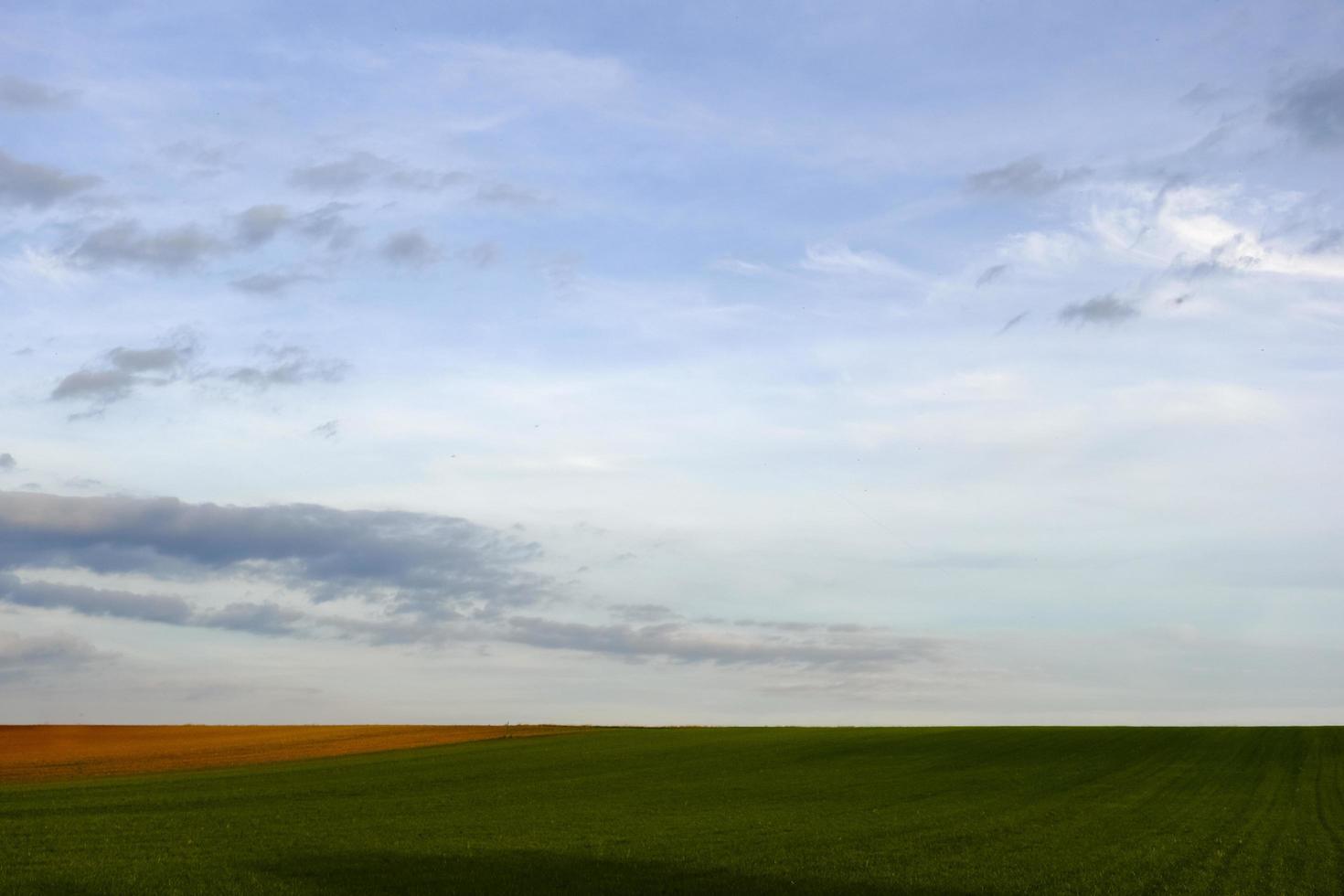 sorprendente piatto verde paesaggio i campi con morbido nuvole foto