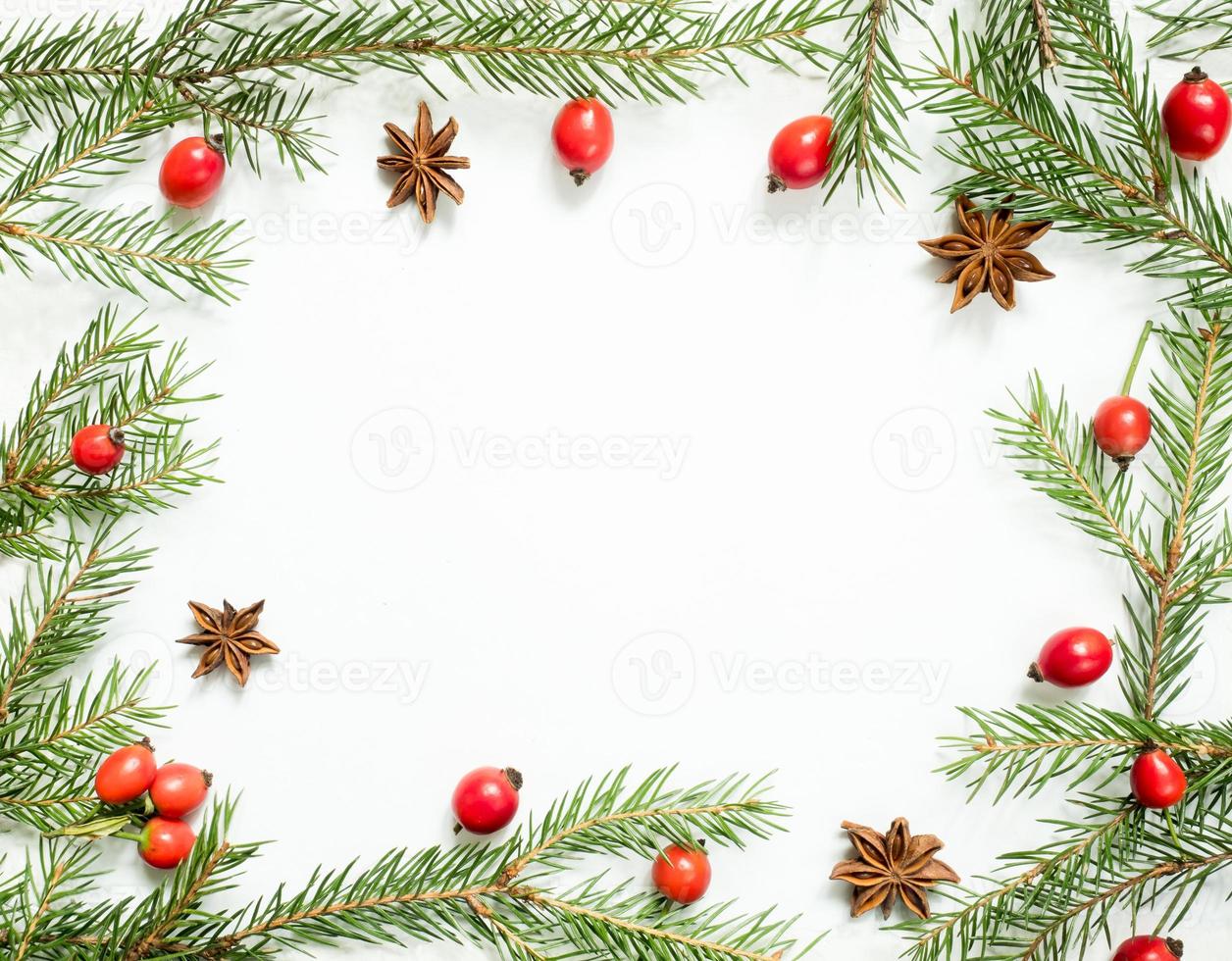 Natale decorazioni su un' bianca sfondo, frutti di bosco rosa fianchi, stelle, abete rami. copia spazio foto