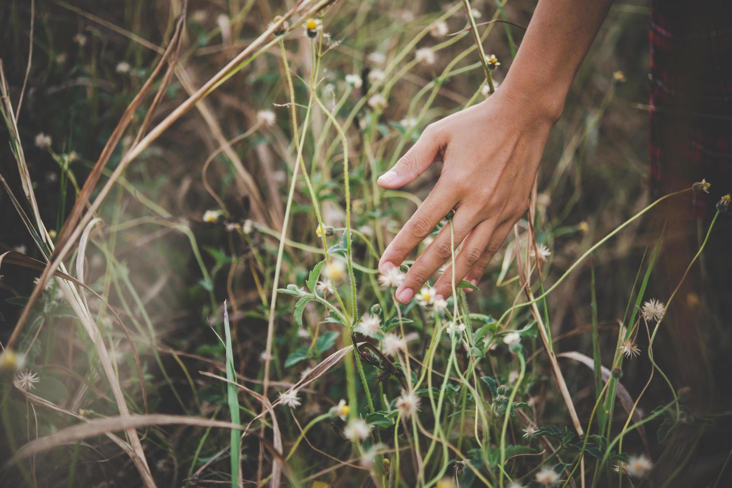 primo piano della mano di una donna che tocca l'erba foto