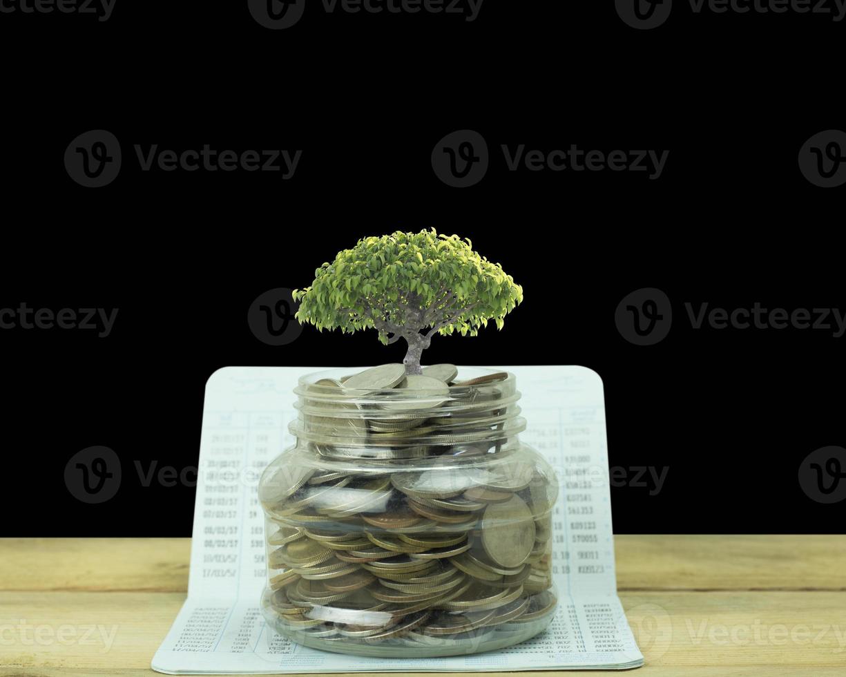 albero che cresce da un barattolo di monete foto