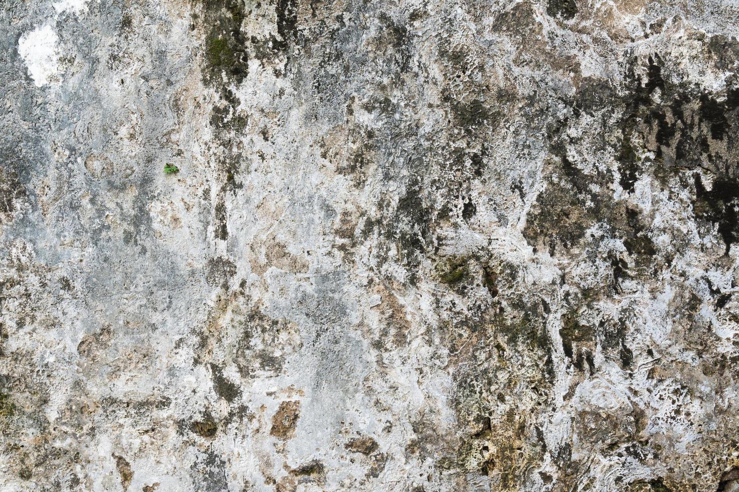 vecchio muro di fondo foto