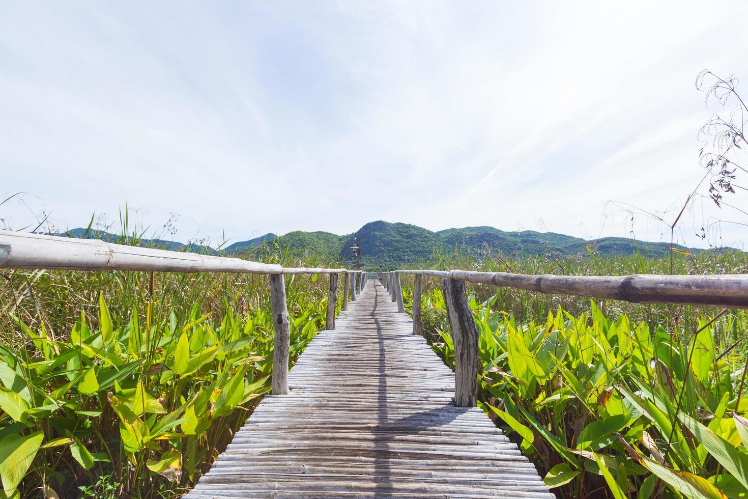 sentiero in legno nella palude foto